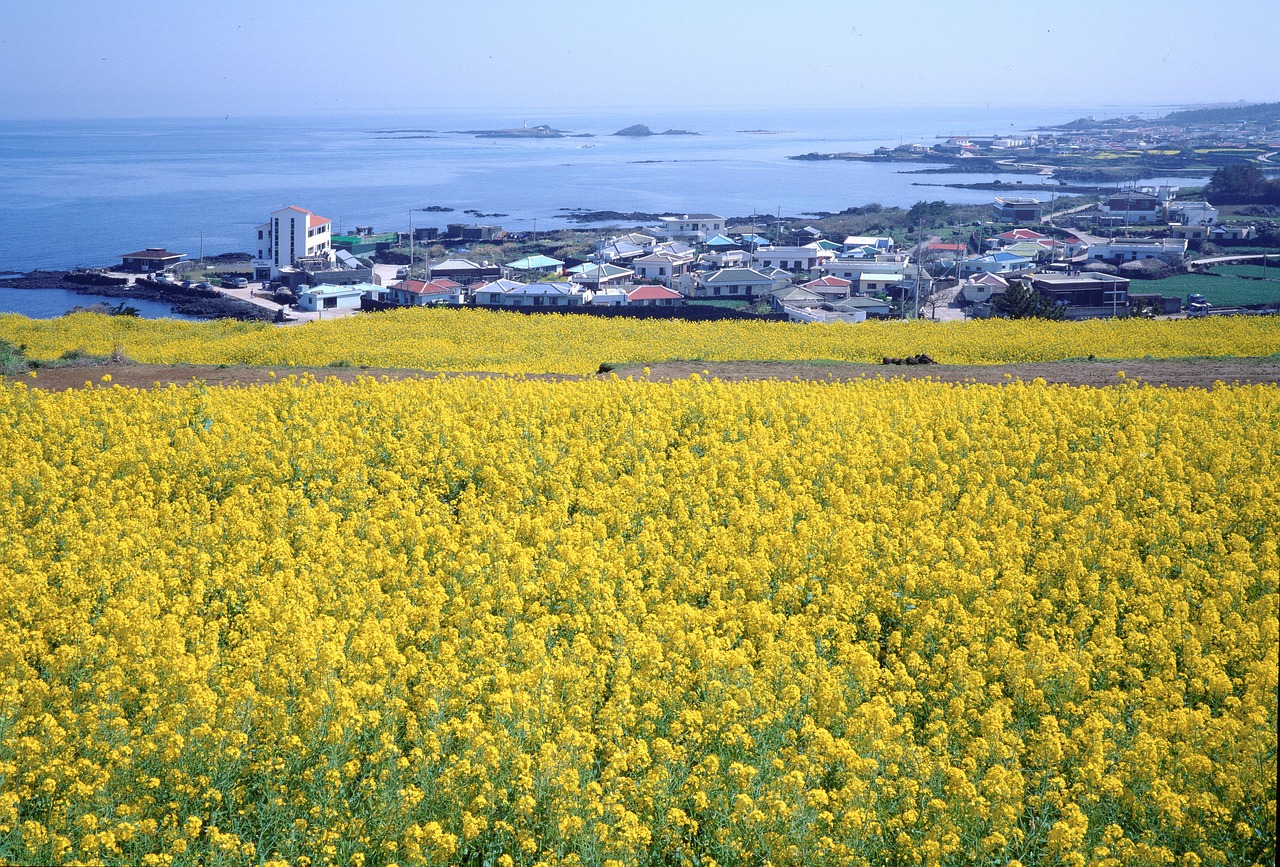 제주도 남쪽 코스