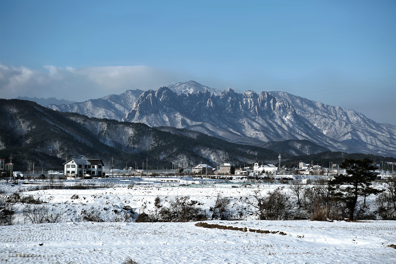 설악산 단풍 절정