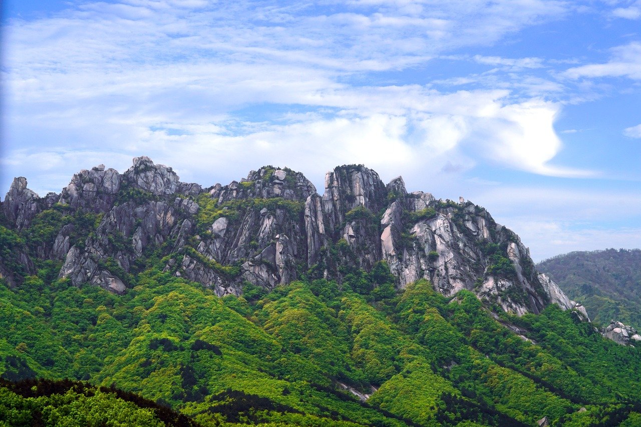 설악산 단풍시기