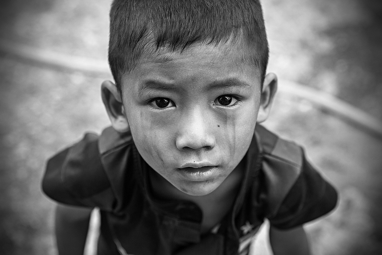 ngo 방문 신청