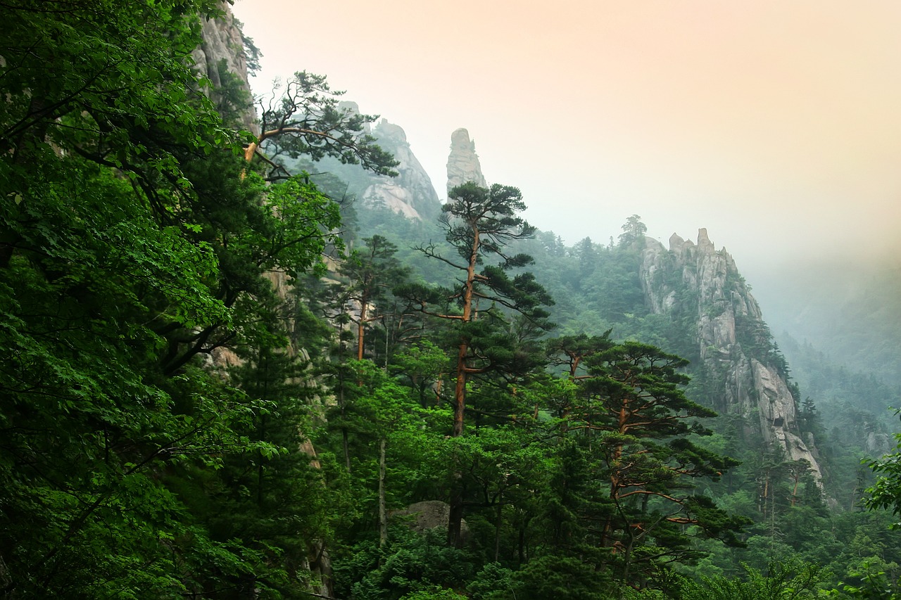 설악산 단풍 명소