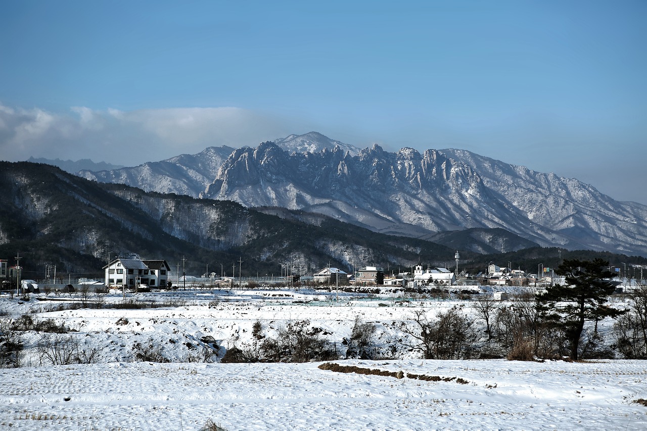 설악산단풍절정기