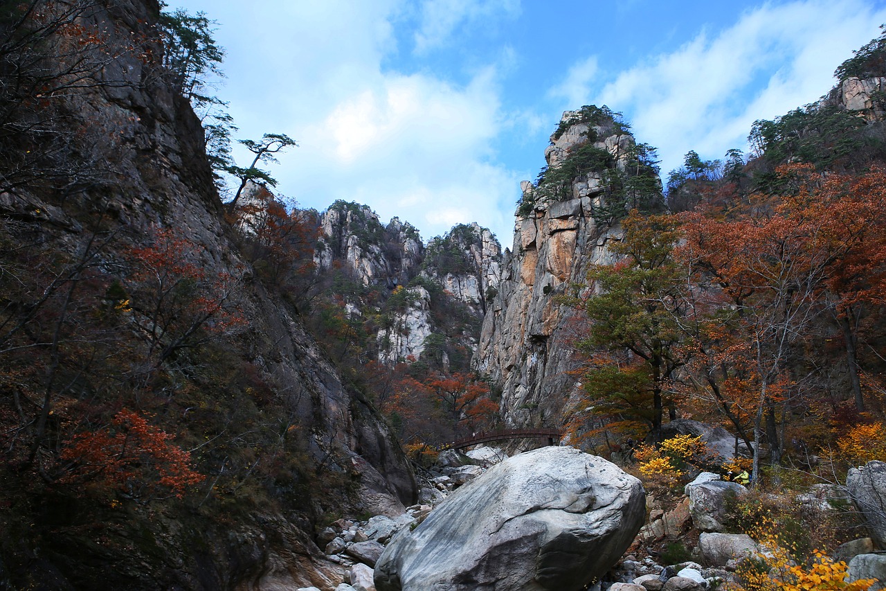 24년 설악산 단풍시기