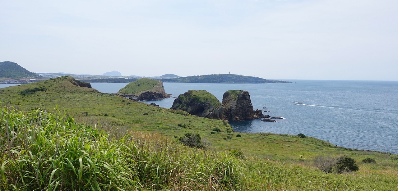 제주 수목원