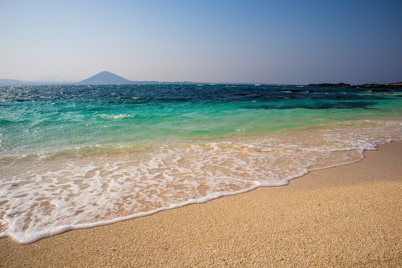 제주도 핑크뮬리 시기