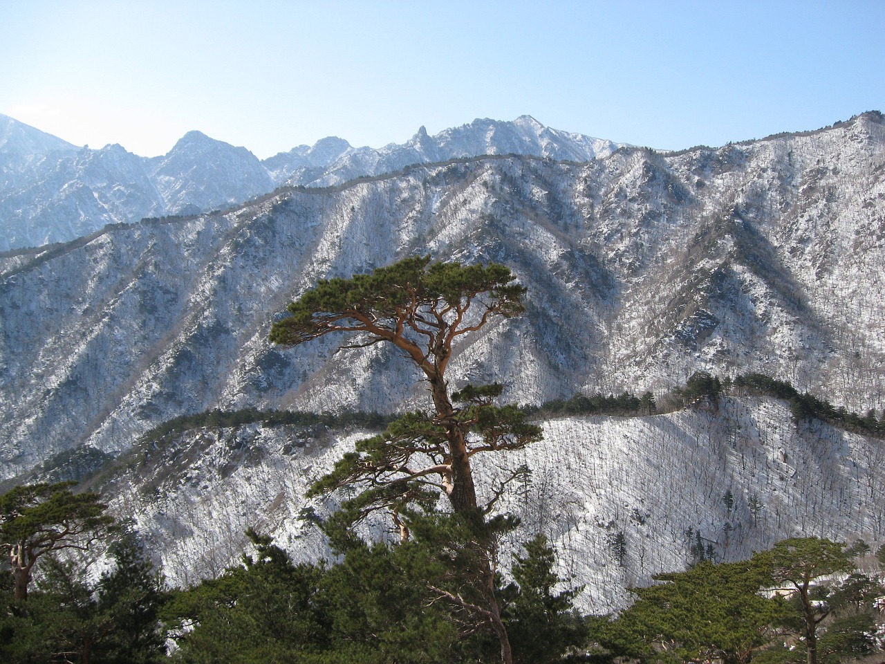 설악산 단풍구경