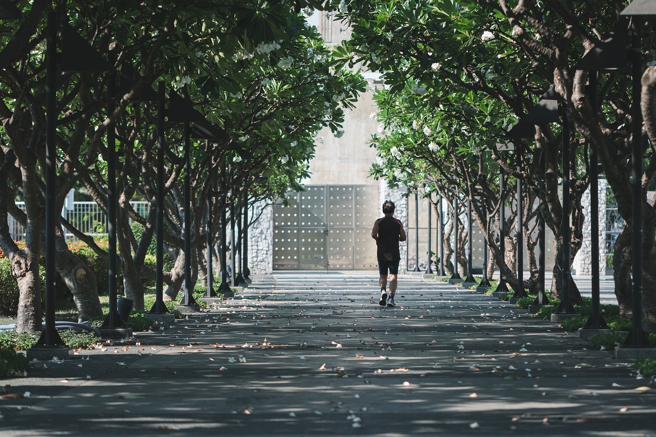 송해공원