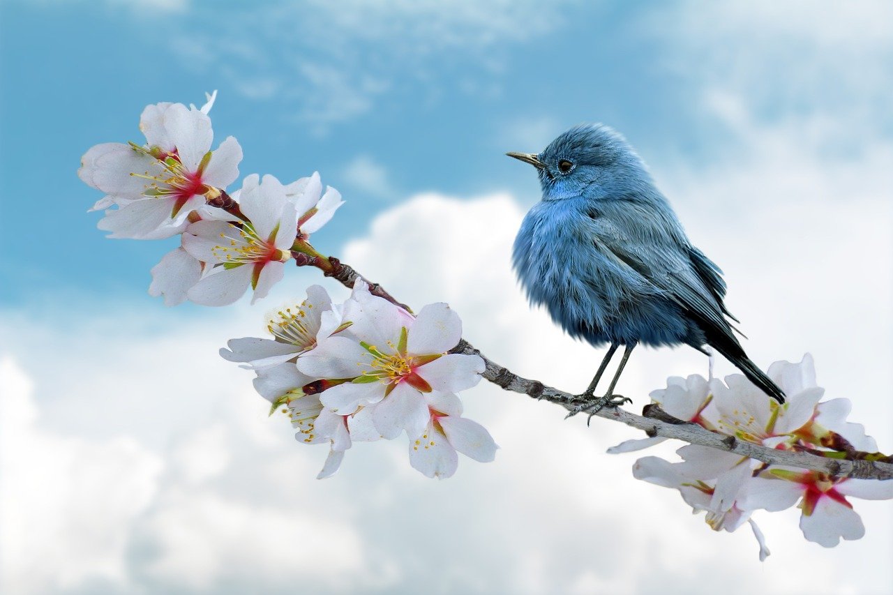 이번주 전국 날씨 변화 살펴보기